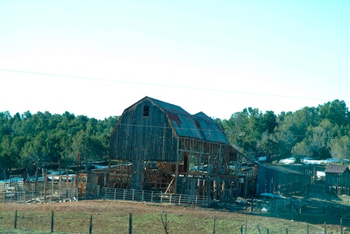 Melanie Heinrich photographer